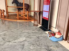 -上海崇明金茂凯悦酒店