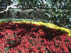 -人民防洪胜利纪念塔