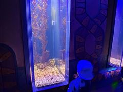 -哈尔滨波塞冬海底世界