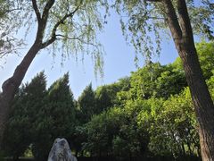 -东升八家郊野公园