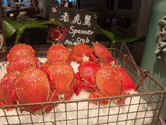-Social 秀西餐厅-长沙瑞吉酒店(运达店)
