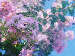 -杭州城北体育公园