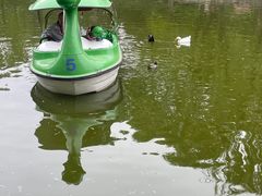 -团结湖公园