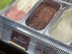 -极拉图·现制冰淇淋(大卫城店)