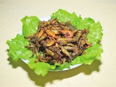 -三得正宗乌烈乳羊(环城东二路店)