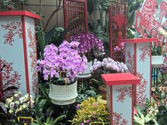 -郑州植物园