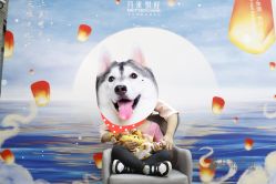 点击看大图 -月来悦好国际月子会所