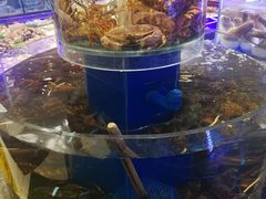 -新海渔港·胶东海鲜家常菜·家宴(奥体中心店)