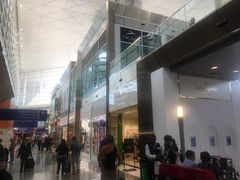 -达拉斯 沃斯堡国际机场