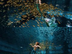 -三亚海昌梦幻海洋不夜城