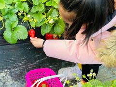 -兴芮温泉度假区