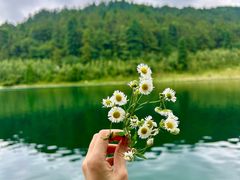 -武陵山森林公园