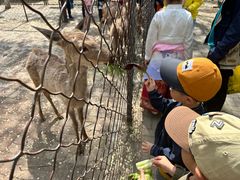 -长白岛森林公园
