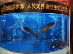 -潇湘码头·鲜湘菜(清河店)
