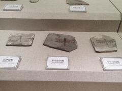 -辽宁古生物博物馆