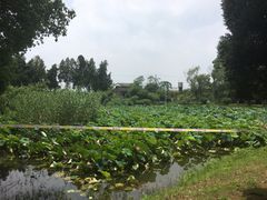 -南唐二陵