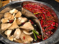 鸳鸯菌汤锅-纸盐河码头火锅(十八梯店)