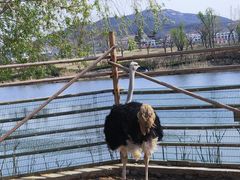 -羊亭河湿地公园