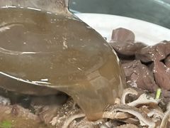 -熊氏牛羊杂粉(龙眼井总店)