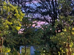 -真浪花园海鲜餐馆