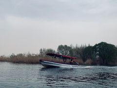 -白洋淀景区