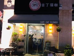 门面-吉丁鸟咖·异宠·寄养