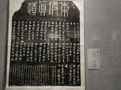 -西安碑林博物馆