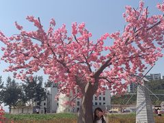-玫瑰海岸文化旅游度假区