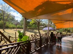 -泉州海丝野生动物世界