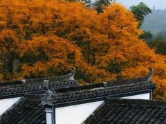 -塔川景区