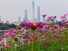 -海珠湖公园