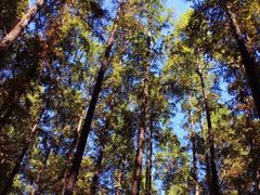 -南京金牛湖风景区