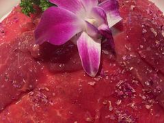 -小龙坎火锅(全球旗舰店)