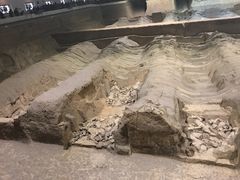 -秦始皇帝陵博物院-丽山园
