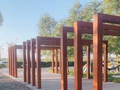 -春花秋色城市公园