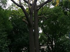 -Patek Philippe百达翡丽(上海源邸店)