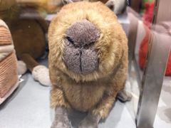 -微缤礼物(青岛海信广场店)