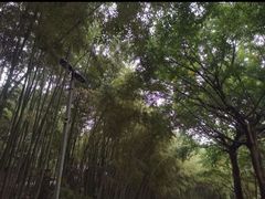 -龙头寺公园