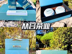-日照海滨国家森林公园