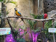 -杭州开元森泊度假乐园