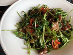 -巴依老爷新疆美食(工体旗舰店)