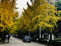 -四川大学(望江校区)