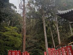 -醍醐寺