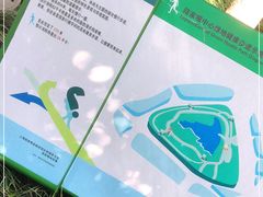 -陆家嘴中心绿地