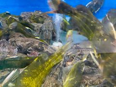 -西湖船菜(湖滨·碧水山庄店)