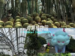 -南山植物园
