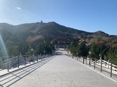 -龙口南山旅游景区