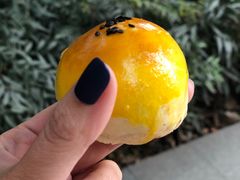 -BC烘焙伴手礼(新光天地店)