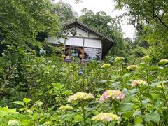 -三千院
