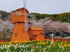 -苏州上方山国家森林公园